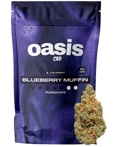 Bluebbery Muffin